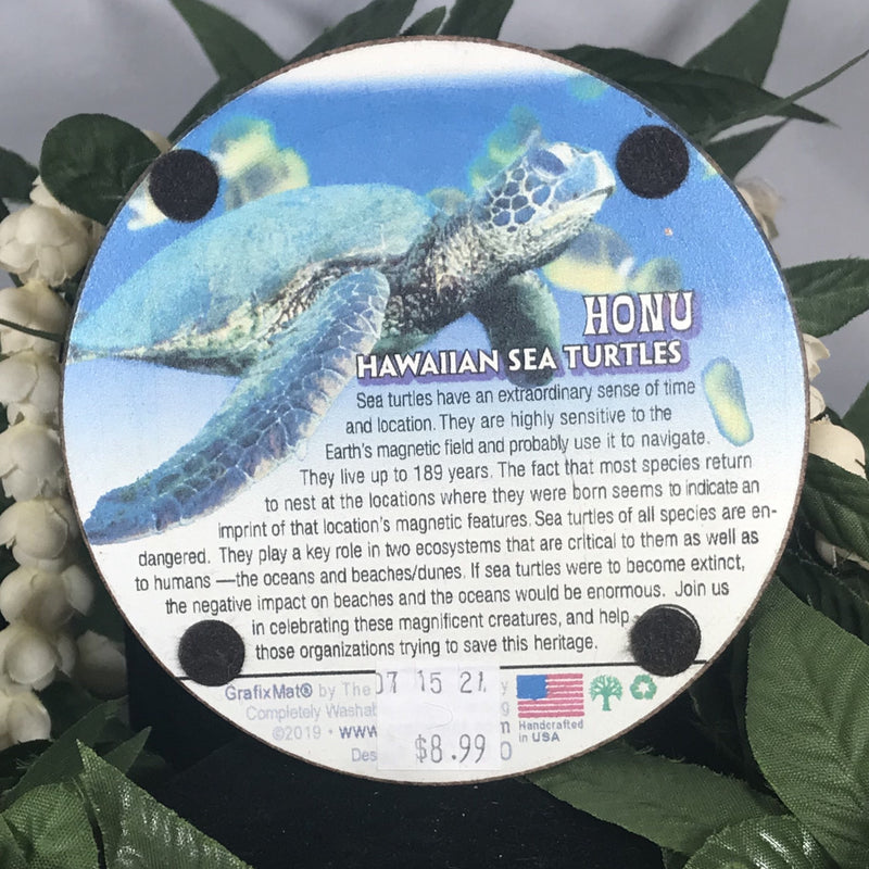 Coaster - Hawaiian Sea Turtles