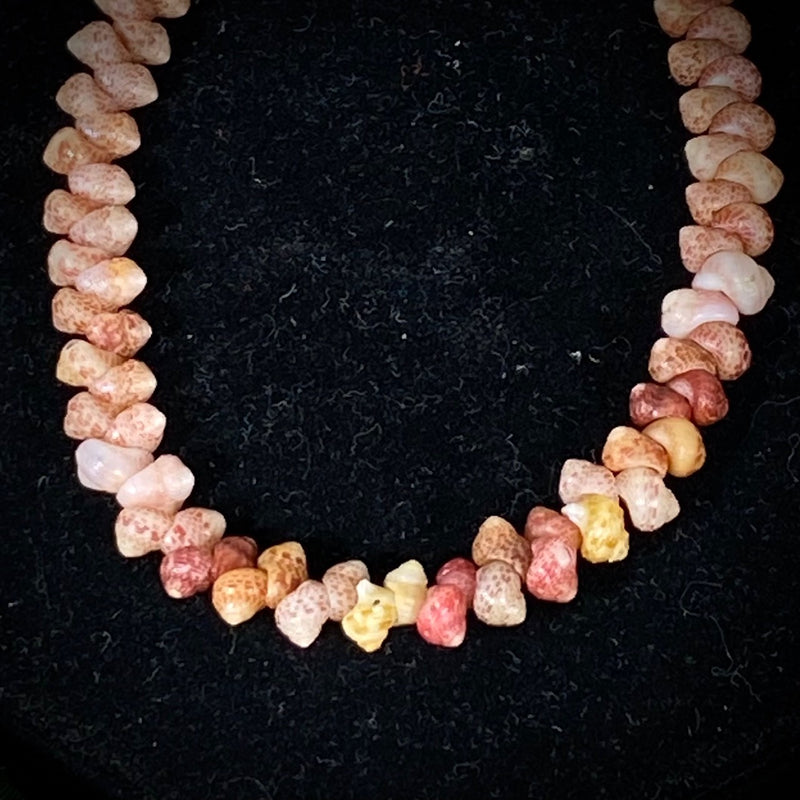 Kauaʻi multi-colored Kahelelani Shell 6-1/4" Herring Bone Style Bracelet