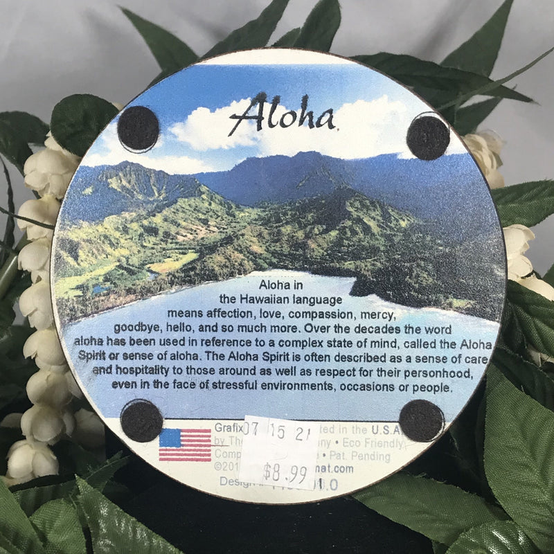 Coaster - Aloha Pineapple