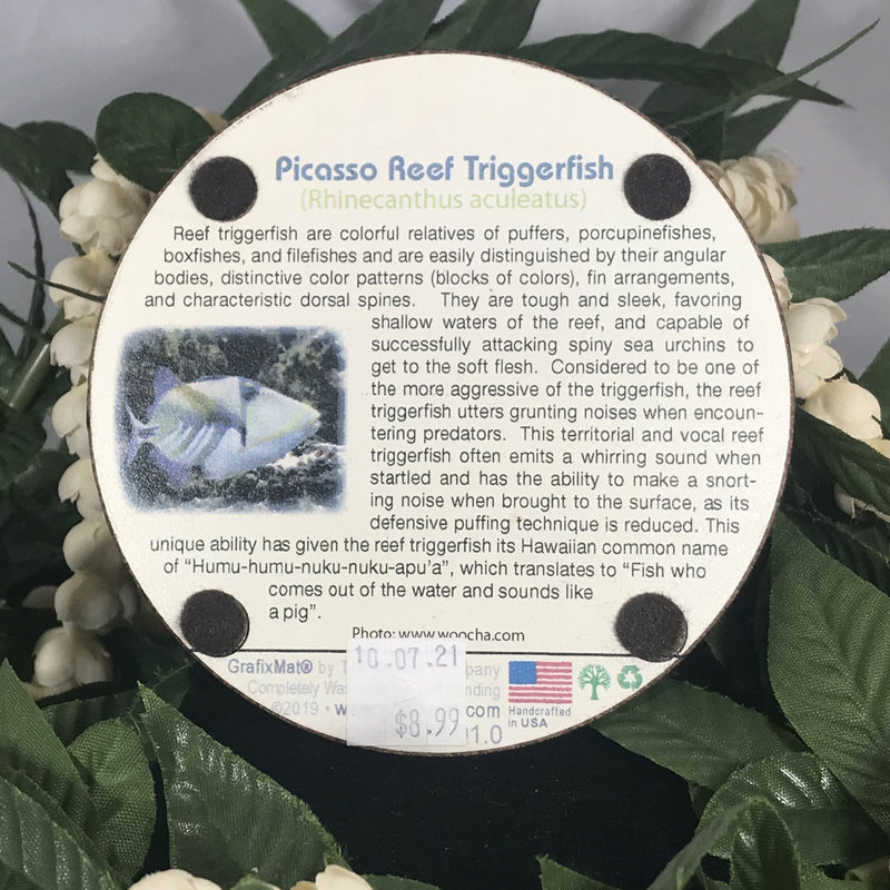 Coaster - Picasso Reef Triggerfish