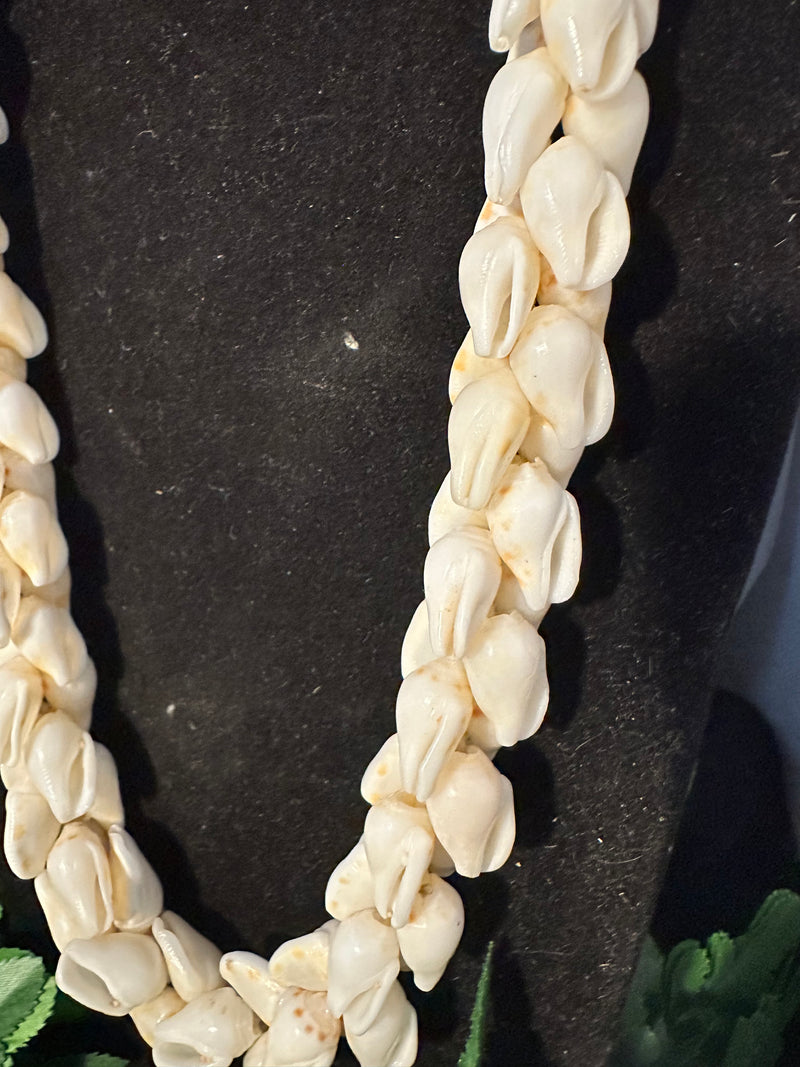 Ni'ihau Alilea Shell Pikake Style Lei 26" and Earring Set