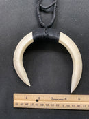 Boars Tusk Necklace