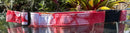 Hilo Red Dog Collar & Leash
