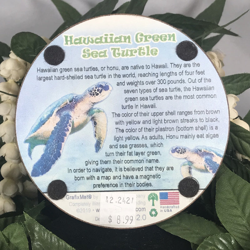 Coaster - Hawaiian Green Sea Turtle
