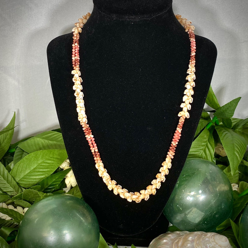 Kaua'i multi-colored Momi and Kahelelani Shells Kīpona Style Lei
