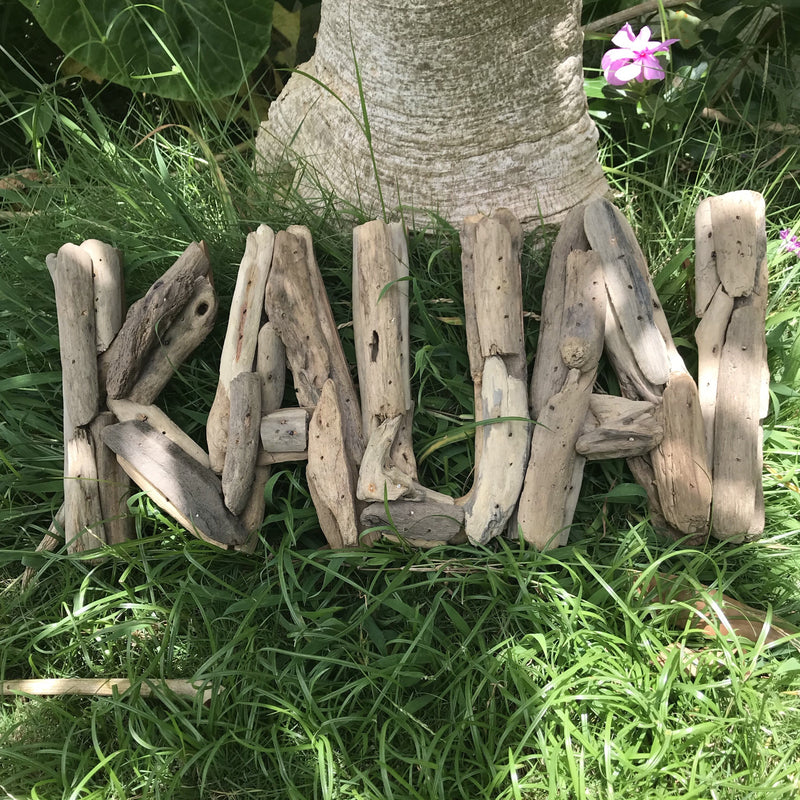 Sign - Drift Wood KAUAI