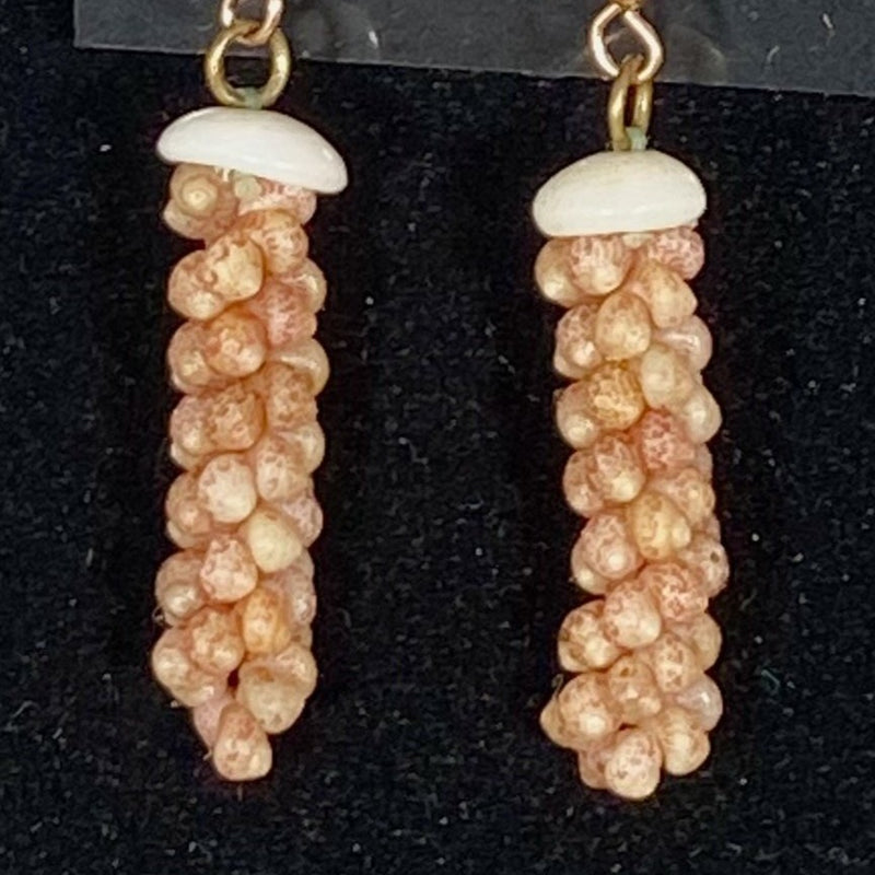 Kaua'i Kahelelani Shell Poepoe Style Earrings