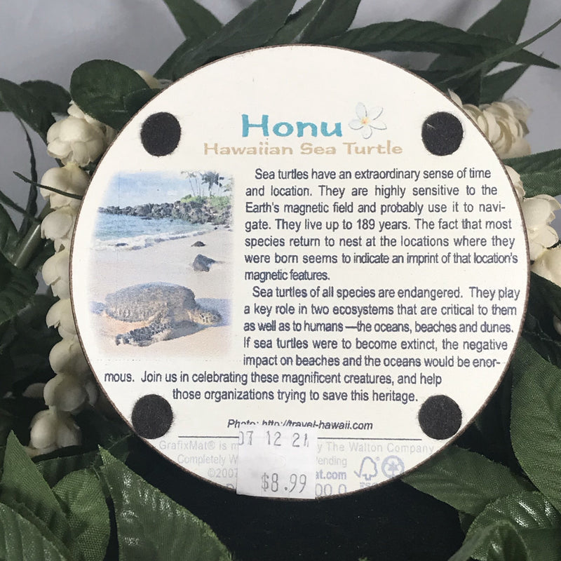 Coaster - Tribal Honu