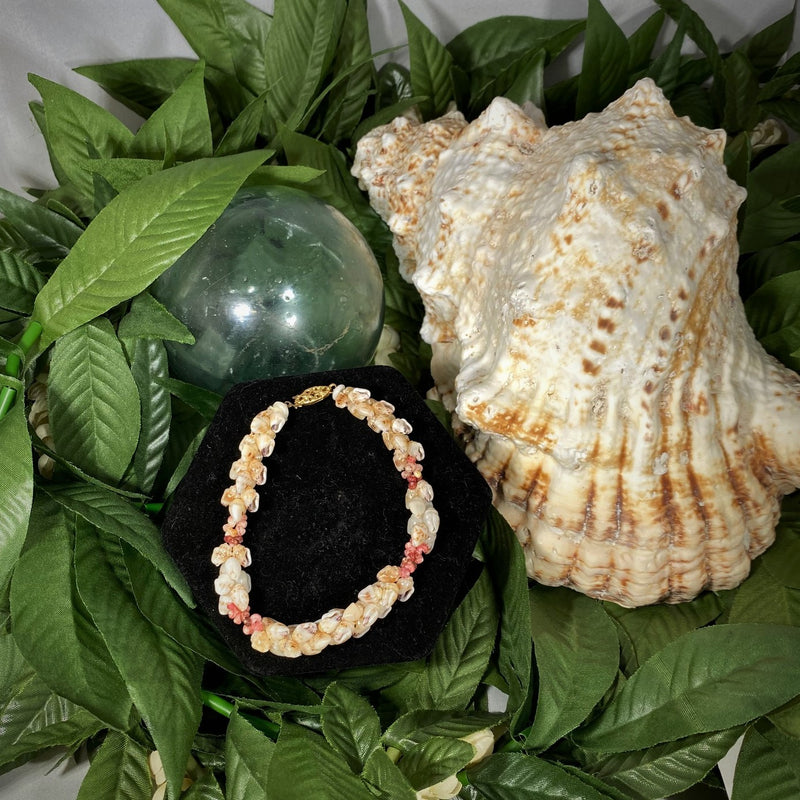 Ni'ihau Multi-colored Momi and Kahelelani Shell Kipona Style 7.5" Bracelet