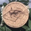 Coaster - Picasso Reef Triggerfish