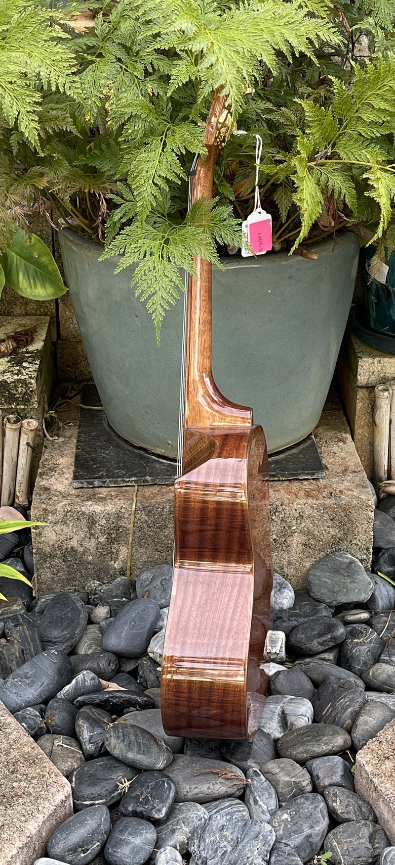 4-String Tenor - Solid Mahogany