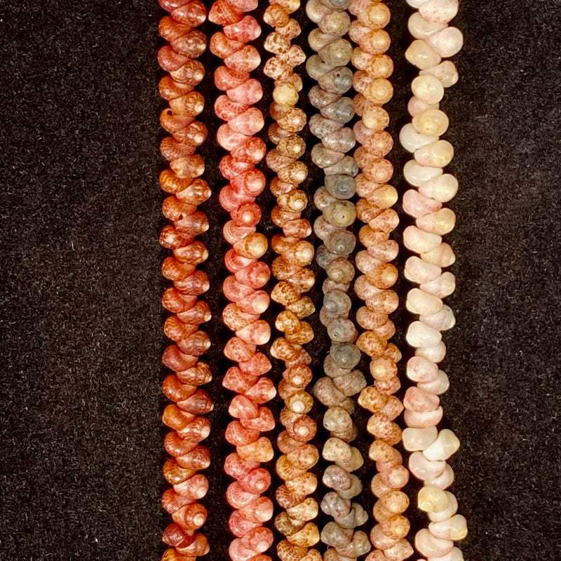 Kaua'i Kahelelani Shell 6-Strand Lei