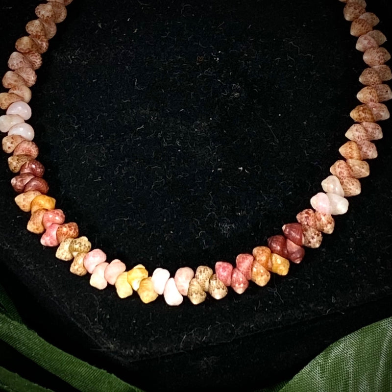 Kauaʻi multi-colored Kahelelani Shell 7-1/4" Herring Bone Style Bracelet