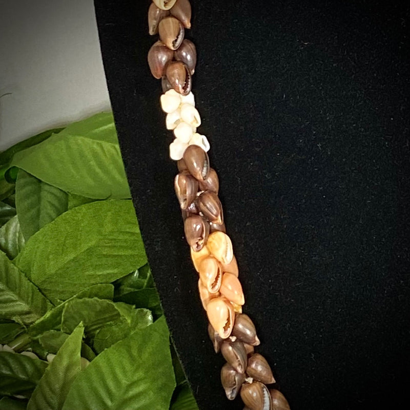Niihau Golden & Dark Brown Pōleho, mixed with White Momi Shell Lei
