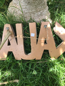 Sign - Drift Wood KAUAI