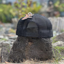 Hat- Kauai Shaka - Black Trucker