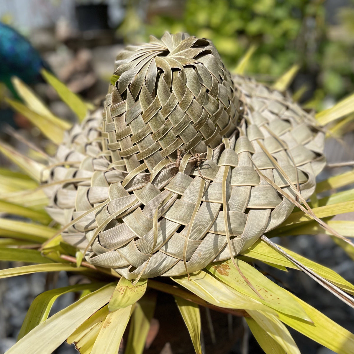 coconut palm leaf hat Coconut Frond Hat