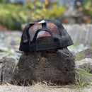 Hat -Black Trucker - Rainbow Paradise - Flat Brim