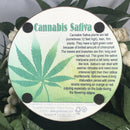 Coaster - Cannabis Sativa