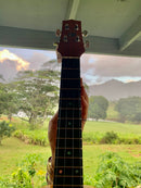 4-String Tenor Koa Ukulele - Kauai Made