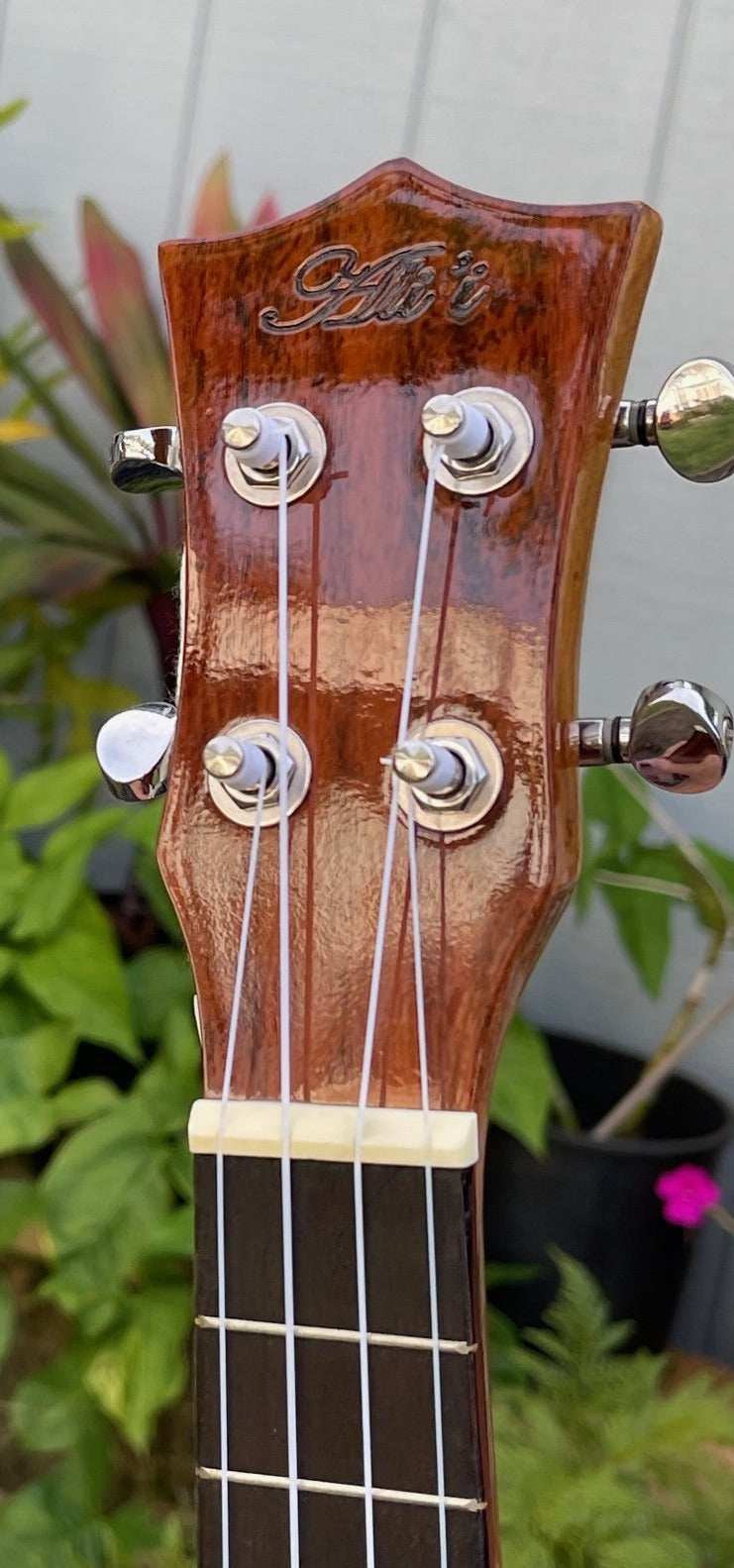 4-String Concert - Koa wood Pineapple Shaped High Gloss with Faux Turtle Inlay
