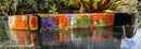 Island Dreams Orange Dog Collar & Leash