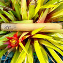 Pū'ohe - Hawaiian Bamboo Trumpet - Puohe