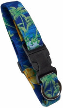 Island Dreams Blue Dog Collar & Leash