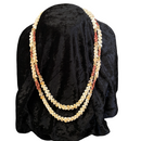 2 Strand Ni'ihau Multi-colored Momi and Kahelelani Shell Kipona Style 28' Lei
