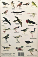Guide to Birds of Hawai'i