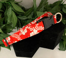Haleiwa Red Dog Collar & Leash