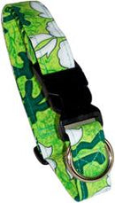 Kona Green Dog Collar & Leash