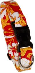 Kona Orange Dog Collar & Leash