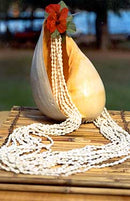 12-Strand Dovetail Shell Lei