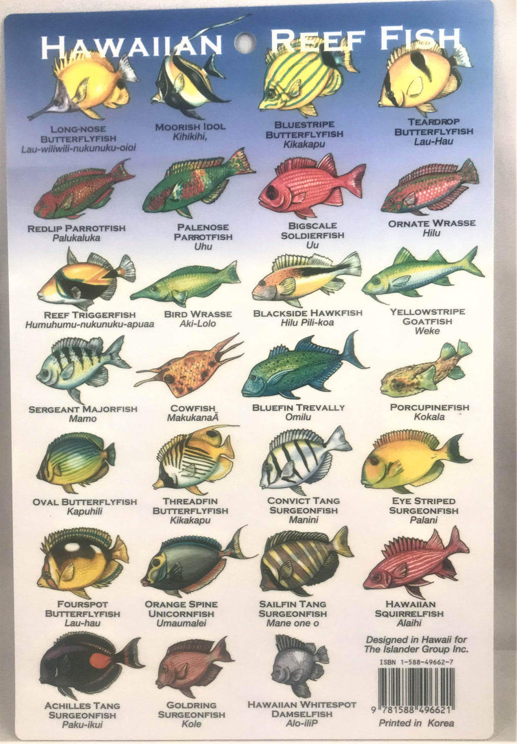 Hawaiian Reef Fish