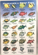 Hawaiian Reef Fish