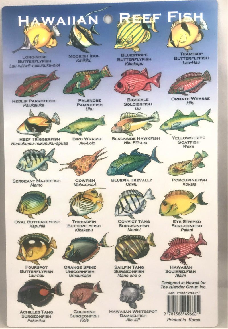 Tropical Fish Identification Guide