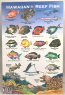 Hawaiian Reef Fish