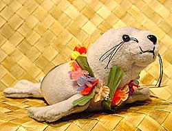 Umo The Barking Hawaiian Monk Seal