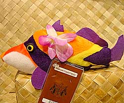 Humu The Patchwork Fish, Humuhumunukunukuapua'a