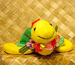 Aukai The Green Sea Turtle