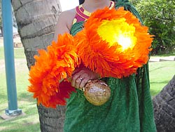 'Uli 'Uli 'Alani (Orange) & Yellow Double Row